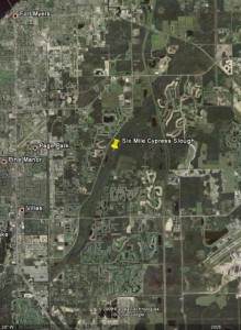Six Mile Cypress Slough Aerial Image (Google)