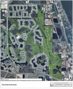 SCRUB-AREAS-11-14-08-12-4-081