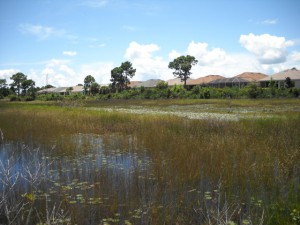 Sep-2009-10