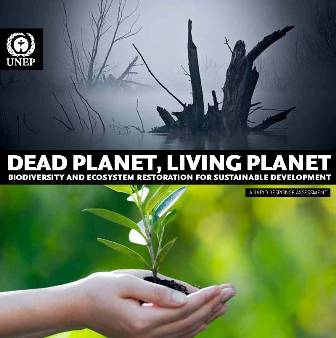 World Environment Day 2010