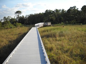 Boardwalk at Prairies Pines Preserve