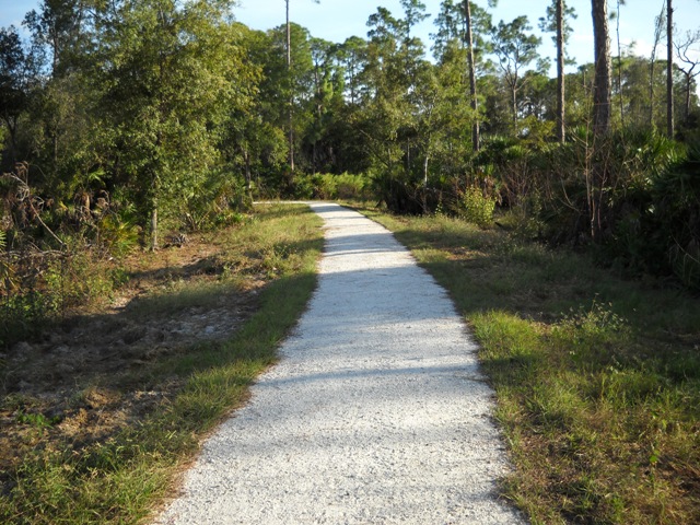 Trail at Prairie Pines Preserve. Trail at Prairie Pines Preserve.