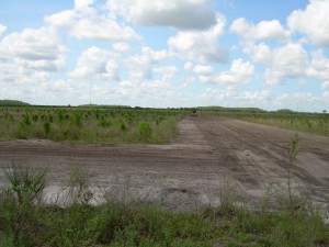 Filled and graded ditches to become hydric pine flatwoods.