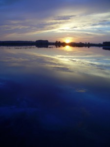 Sunrise over created marsh (2008).