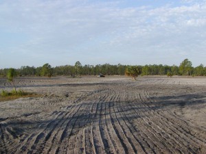 Seeding hydric pine flatwoods restoration area (2005).