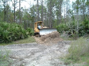 Breaching existing berm to restore sheet flow (2008).