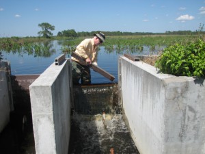 Releasing water to maintain appropriate water levels (2009).