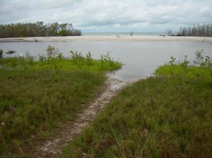 Path to the beach