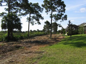 Preserve area after mechanical removal of vegetation to reduce fire hazard (May 2009).