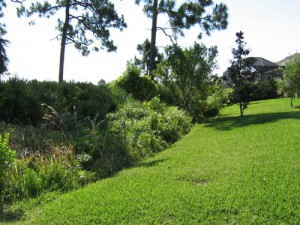 Preserve before mechanical removal of vegetation to reduce fire hazard (April 2009).